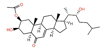 3-Deacetoxy alfredensterol